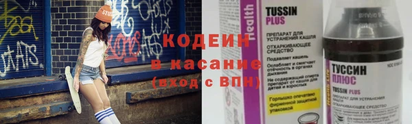 дмт Бородино