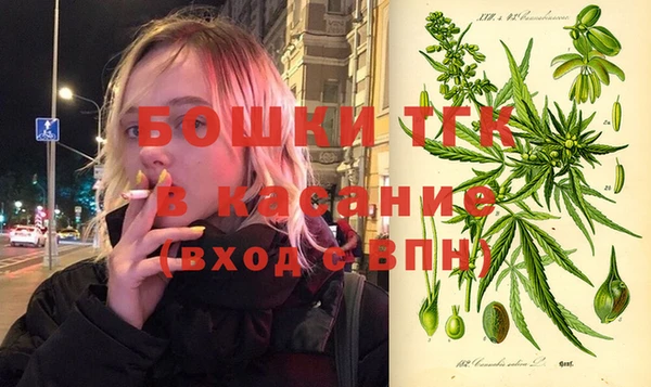дмт Бородино