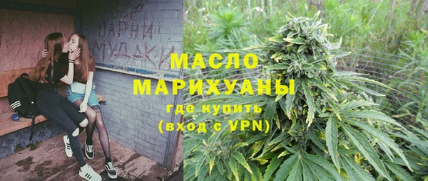 дмт Бородино