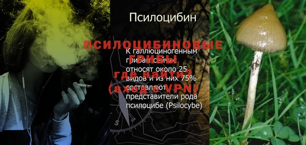 ECSTASY Верея