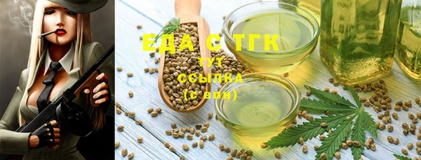 дмт Бородино