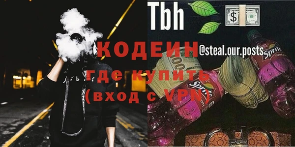 дмт Бородино