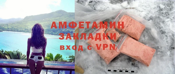 дмт Бородино