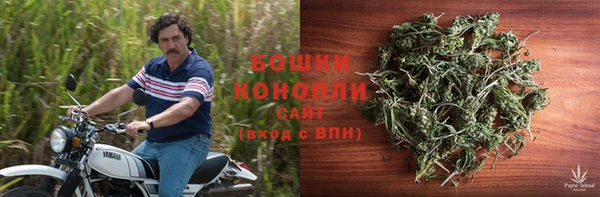 дмт Бородино